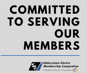 This image has an empty alt attribute; its file name is hemc-gif-2020-300x250-1.gif