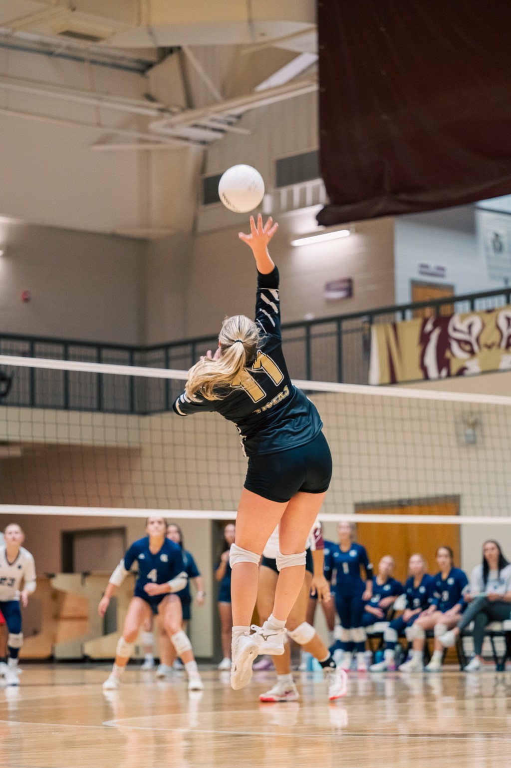 Volleyball Preview: Dawson County Lady&nbsp;Tigers