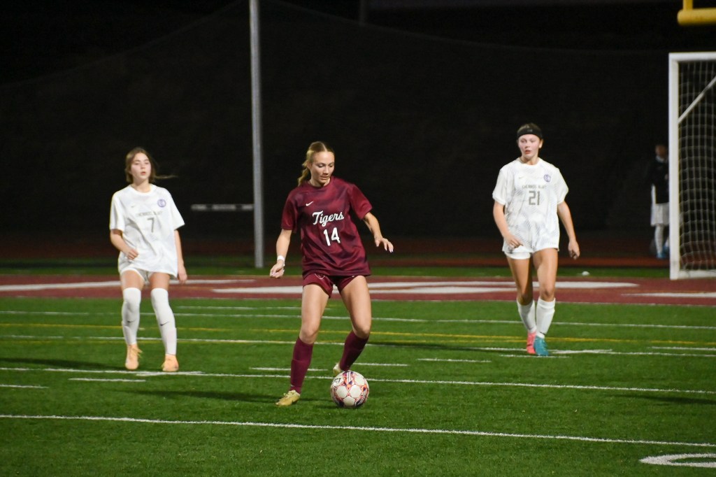 Adamson claims POW honors after guiding Dawson to&nbsp;Quarterfinals